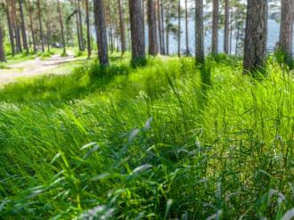 Купить квартиру, Среднеуральск, Северные ворота